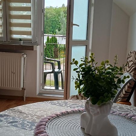 Appartement Udane Wczasy à Giżycko Extérieur photo