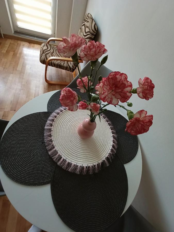 Appartement Udane Wczasy à Giżycko Extérieur photo